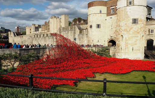 Tower of London Poppies art installation by Cummins and Piper (2014)