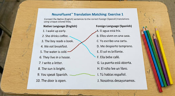 Illustrative image of a language translation match worksheet.