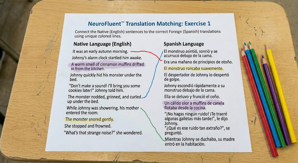Illustrative example of a worksheet with sentences in two languages that learners have to connect.