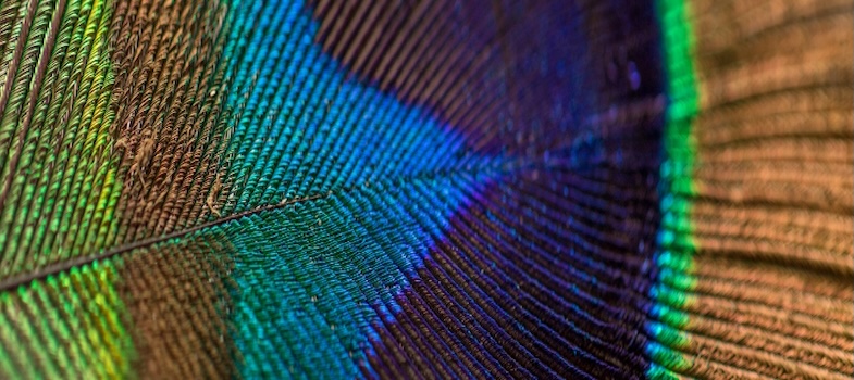 AI-Empowered Green Skills Education