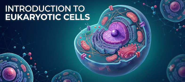 Introduction to the Eukaryotic Cell