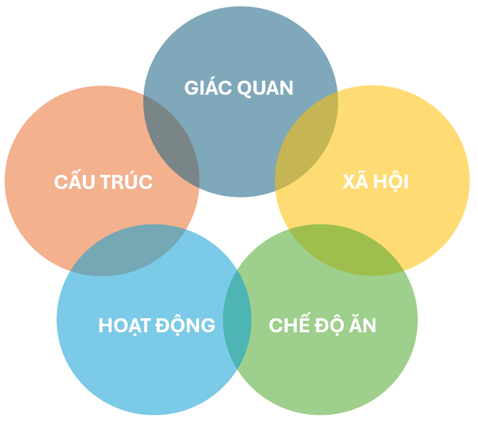 Hình gồm năm vòng tròn bán trong suốt với các màu khác nhau, được sắp xếp theo dạng ngũ giác và chồng lấp nhẹ lên nhau. Mỗi vòng tròn đại diện cho một loại làm giàu môi trường, bao gồm: giác quan (sensorial), xã hội (social), chế độ ăn (dietary), hoạt động (occupational) và cấu trúc (structural).