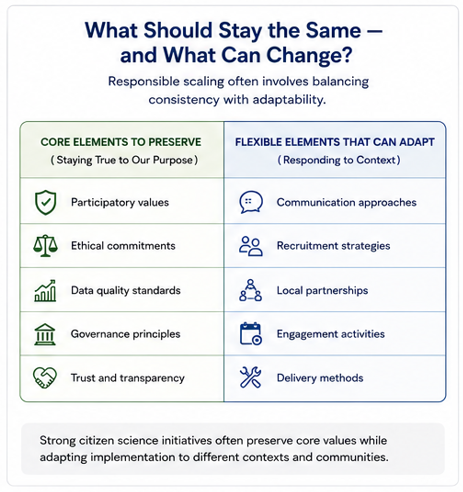 Core elements are contrasted with flexible elements to show how projects sustain integrity by preserving key principles while adapting implementation to different contexts.