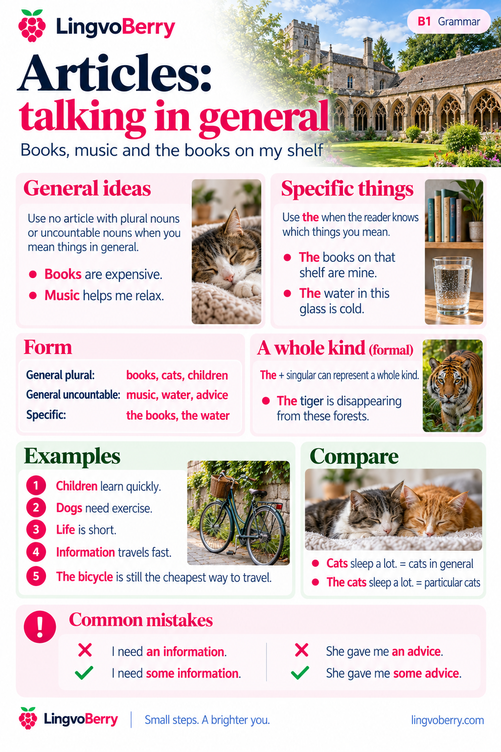 General plural and uncountable nouns take no article; the identifies specific things. All examples and rules are transcribed below.