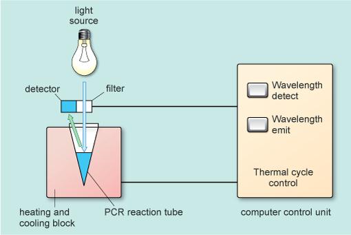 Schematic of PCR machine with detectors