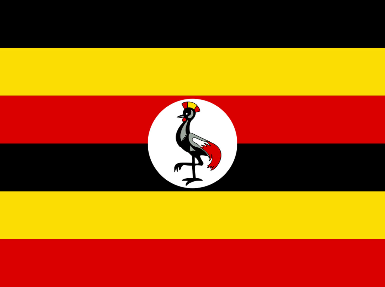 TESSA - Uganda