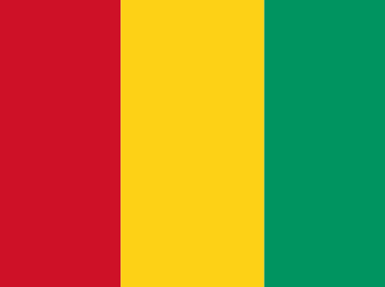 TESSA - Guinée