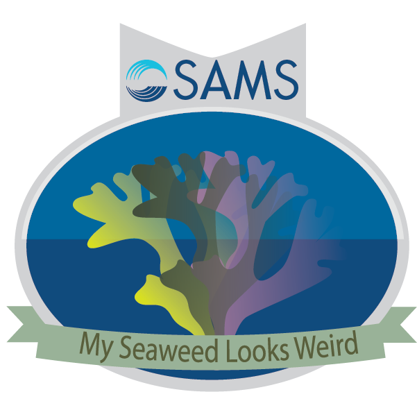 SAMS My Seaweed Looks Weird badge
