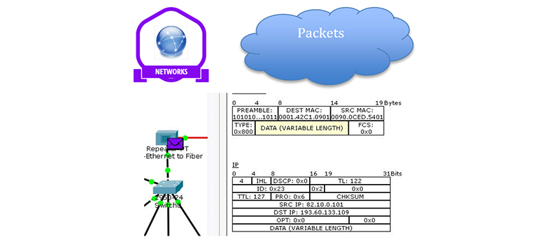 Introduction to Data networks and IP addresses