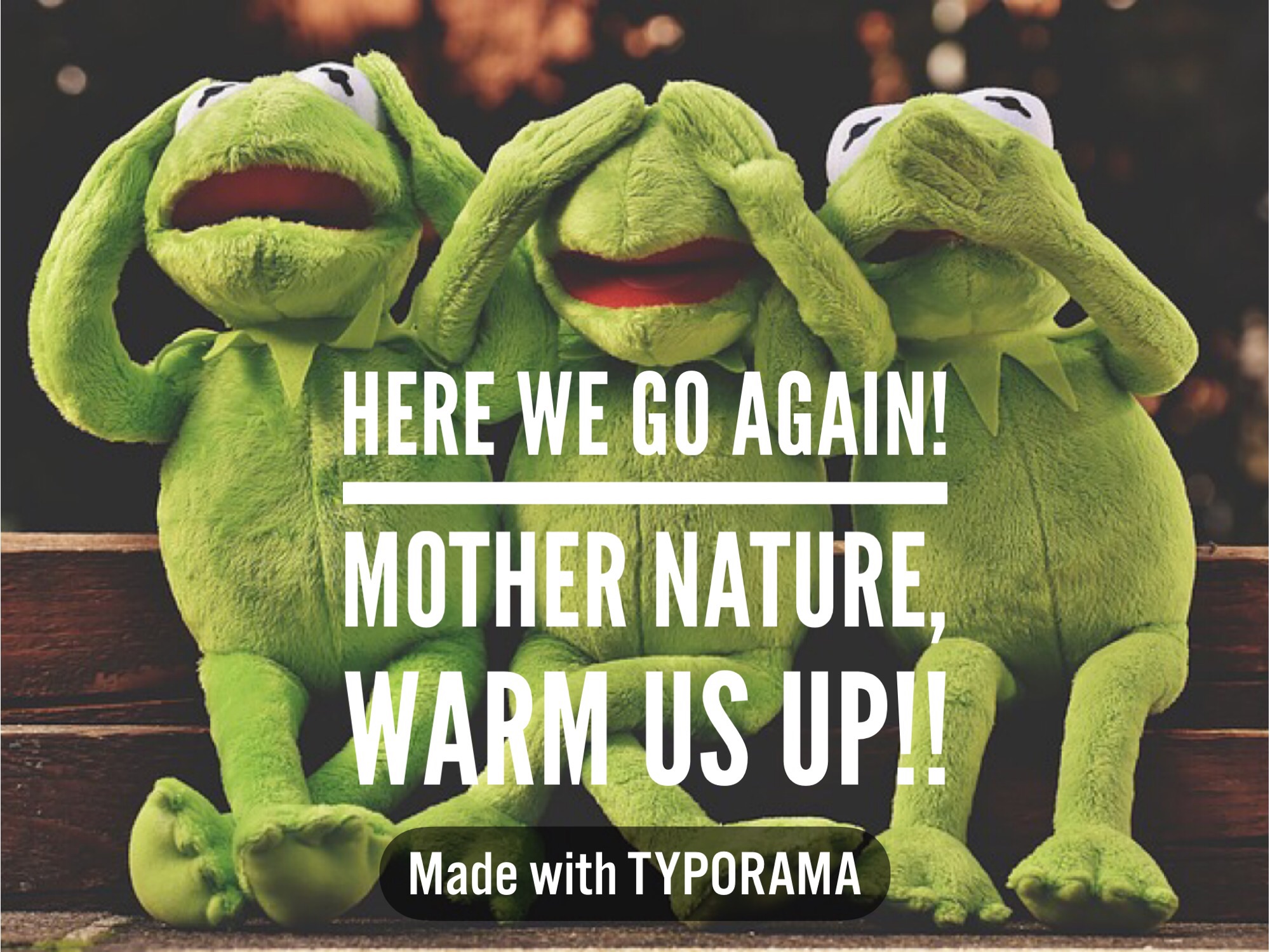 3 kermits upset with mother nature about the cold weather