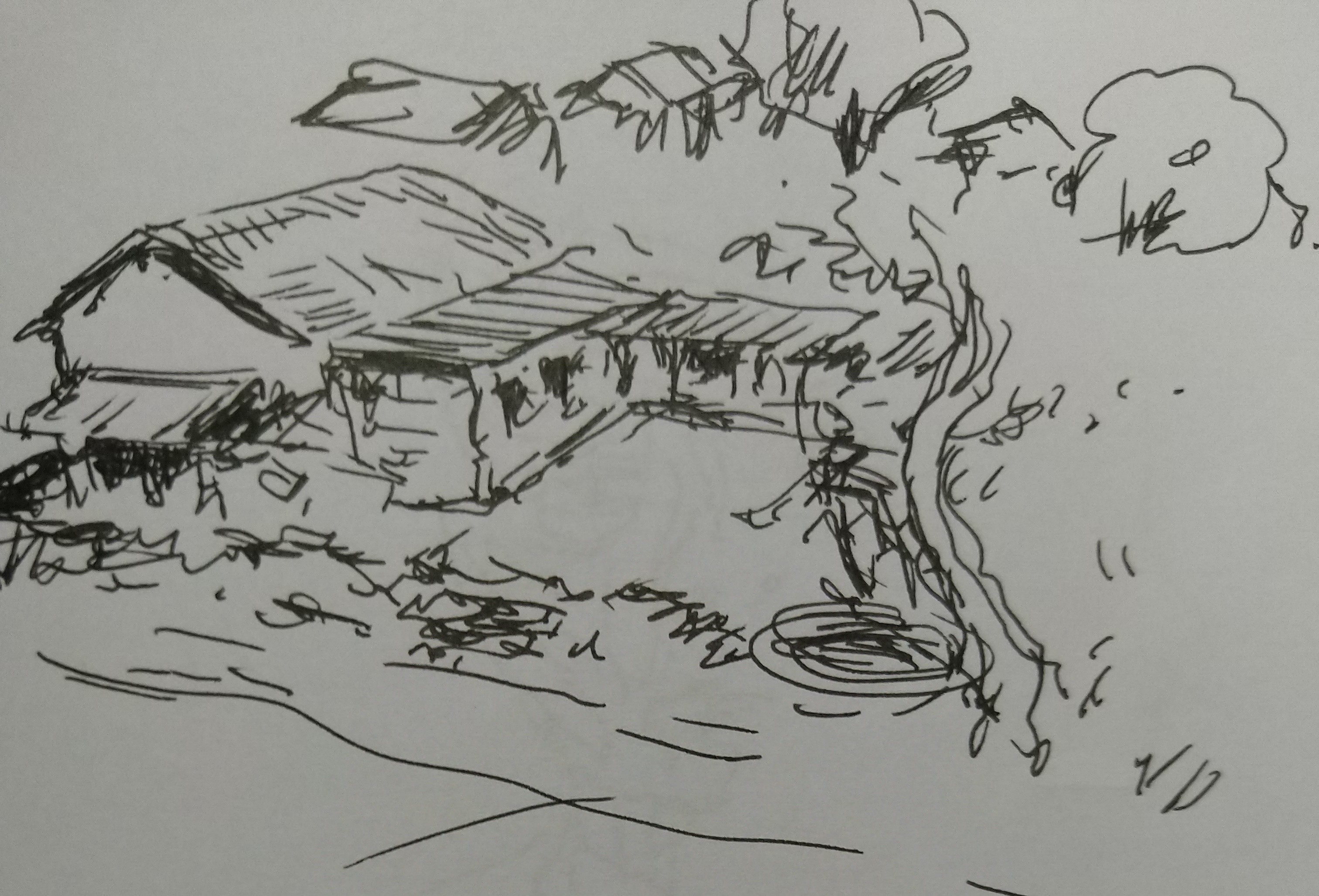 the house described by shree and srushtee,a bird friendly house