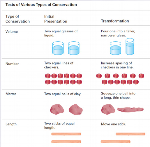 Image of the different types of conservation