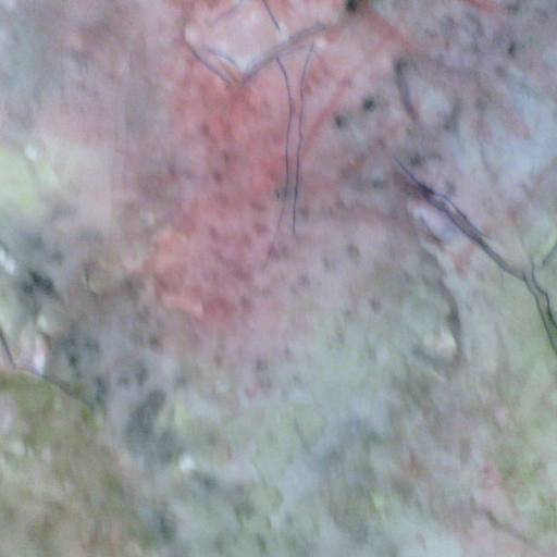 Gain a digital badge