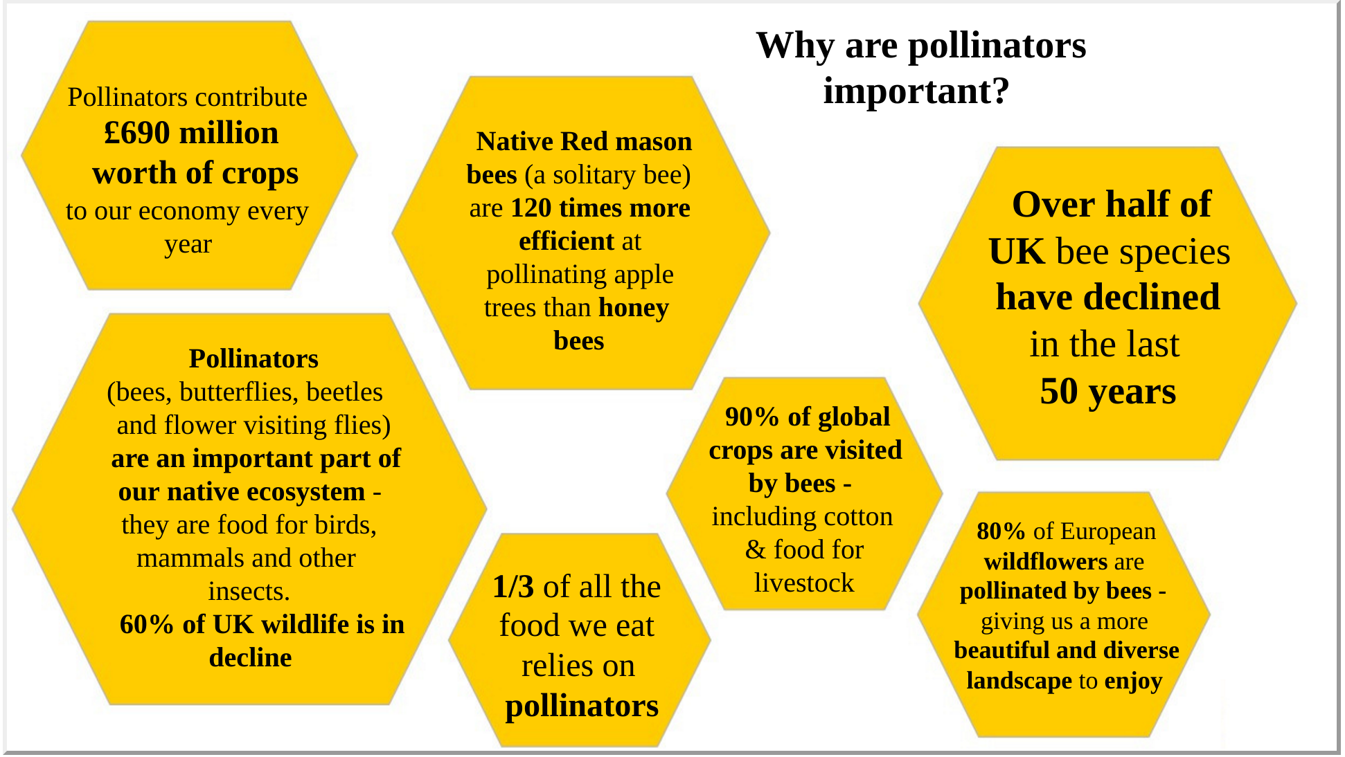 Pollinators contribute £690 million worth of crops to our economy every year 