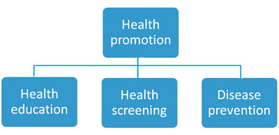 Health promotion at the community level includes health education, health screening and disease prevention