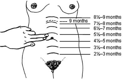 Diagram showing the finger method for measuring fundal height