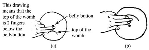 (a) shows the womb 2 fingers below the bellybutton (b) the womb is 3 fingers above the bellybutton