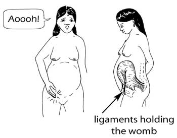 Diagram shows ligaments holding the womb