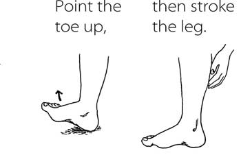 To stop the cramp, point the toe up and then gently stroke the leg to help it relax.