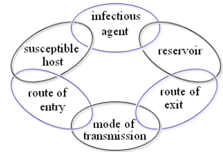 The chain of communicable disease transmission.