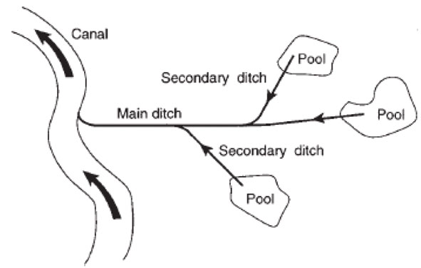 Open earth drains for larval control.