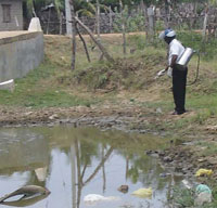 A worker applies larvicide into water collections that act as vector breeding sites.