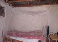 A correctly hung bed net.