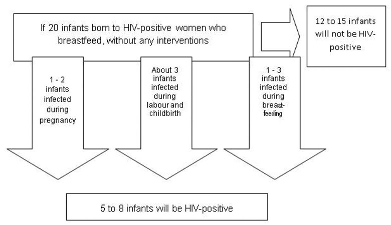 Flow chart showing the likely HIV outcome for the infant if the mother does not take any precautions.