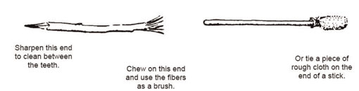 A soft toothbrush and a piece of wooden stick used to clean the teeth.