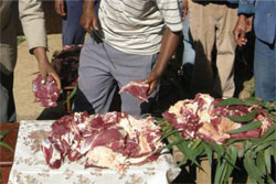 Tradition of eating raw beef in Ethiopia