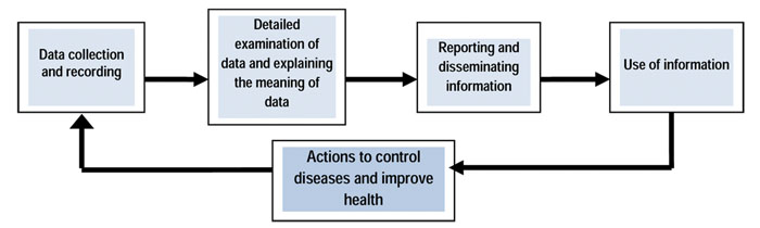 Information loop involved in surveillance of diseases