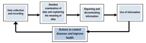 Information loop involved in surveillance of diseases