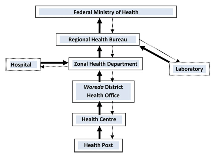 Passive surveillance information flow in Ethiopia