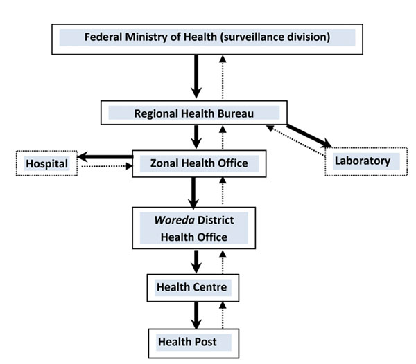 Active surveillance information flow in Ethiopia