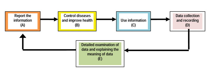 Surveillance activties in the wrong order!
