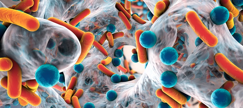 Introducing antimicrobial resistance
