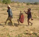 Two people carry a sick person to hospital by making a sling that hangs off of a large branch. The sick person then sits in the sling and holds onto the branch.