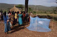 A community gather to watch a demonstration on erecting bed nets.