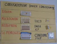 A poster with contraceptive devices fixed onto it.