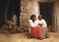 A health worker talks to a woman on specific health issues. They are seated outside her home and there are some goats nearby.