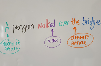 The image is of a whiteboard. On it is written the sentence ‘A penguin walked over the bridge’. An arrows points to the word ‘The’. It is labelled as the ‘definite article’. The ‘-ed’ at the end on the word ‘walked’ is labelled as the suffix. At the start of the sentence, the word ‘A’ is labelled as the indefinite article.