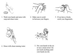 Step by step handwashing technique