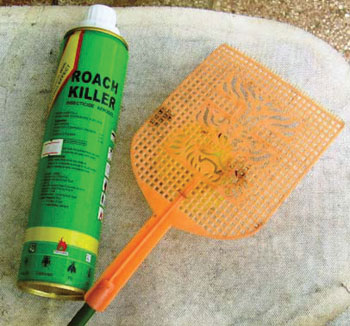 Insect killer chemical insecticide and fly swat