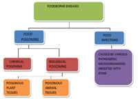 Classification of foodborne diseases