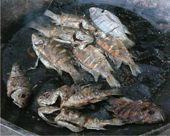 6  Freshly cooked fish