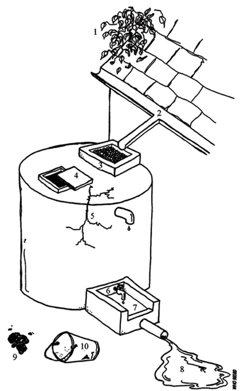 Rainwater collection and storage