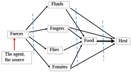 The ‘F-diagram’