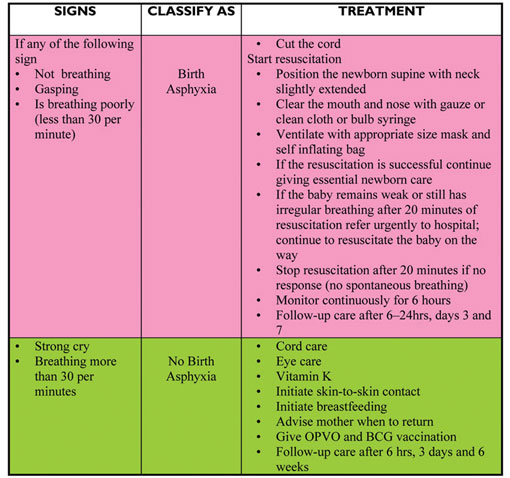 Assessment and classification chart for birth asphyxia.