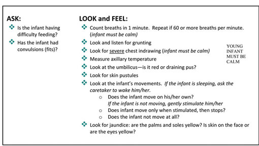 A table of what to ask, look for and feel fro when checking for possible bacterial infection and jaundice.