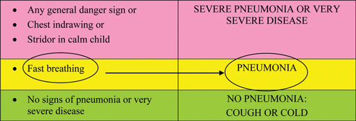 A classification chart for has had pneumonia circled by the Health Extension Practitioner.
